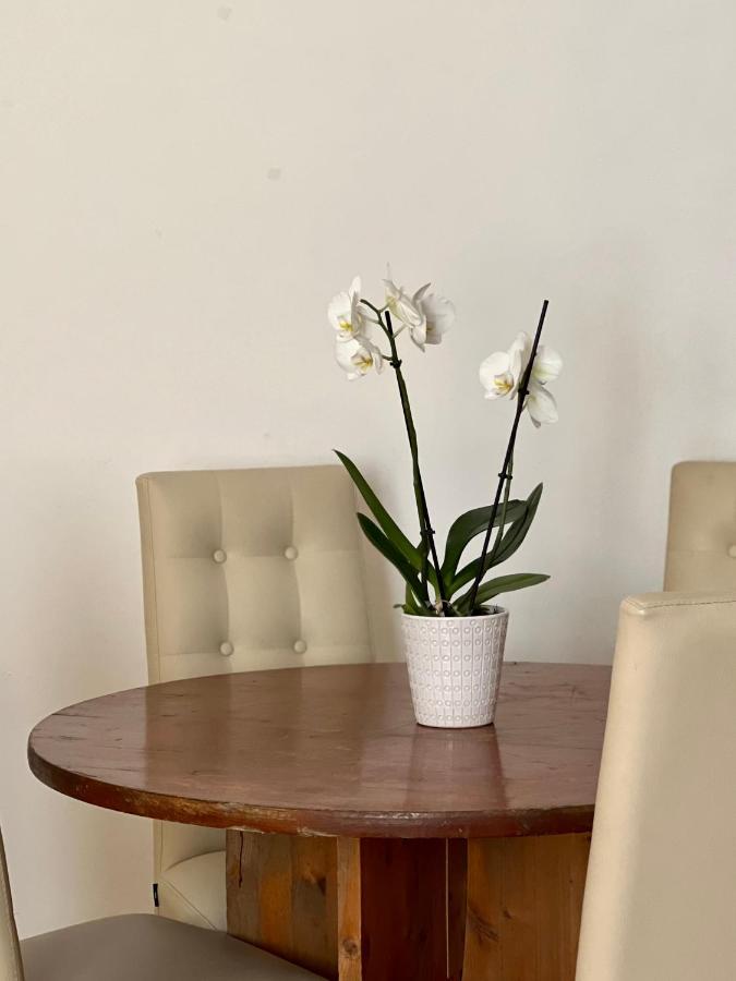 Novi Ligure Private Apartment 外观 照片